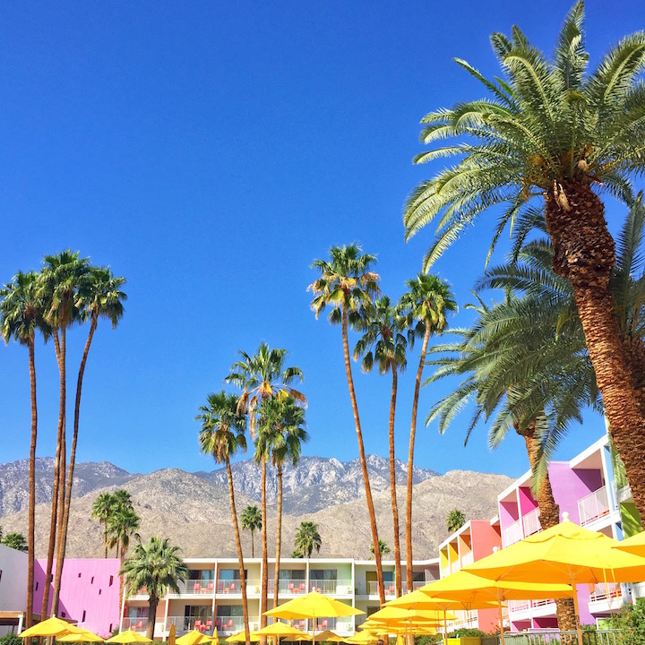 palm-springs-saguaro-hotel